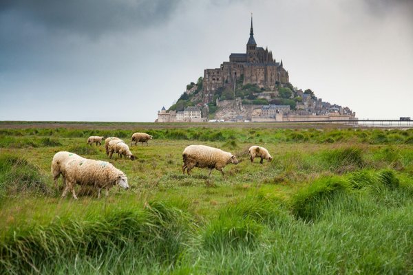 Actualités normandie : explorez l'écologie et la culture locales