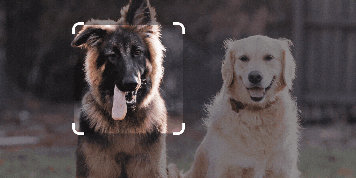 Google is rolling out Generative AI to everything | itkovian